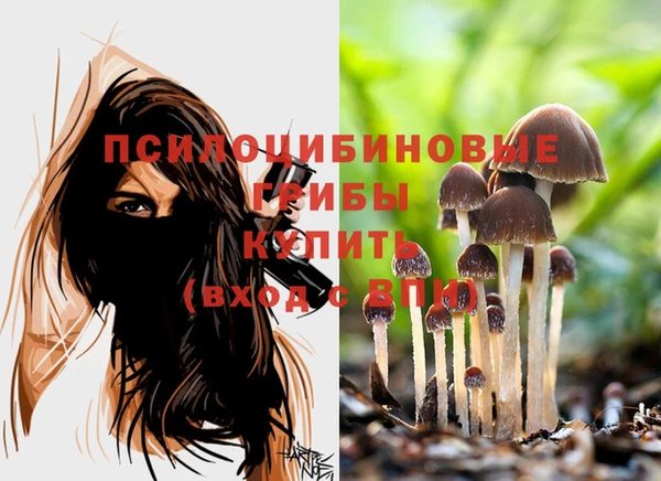 экстази Арсеньев