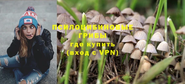 спайс Аркадак