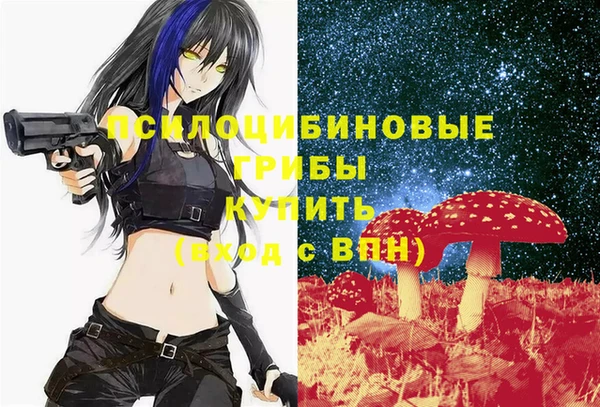 меф Армянск