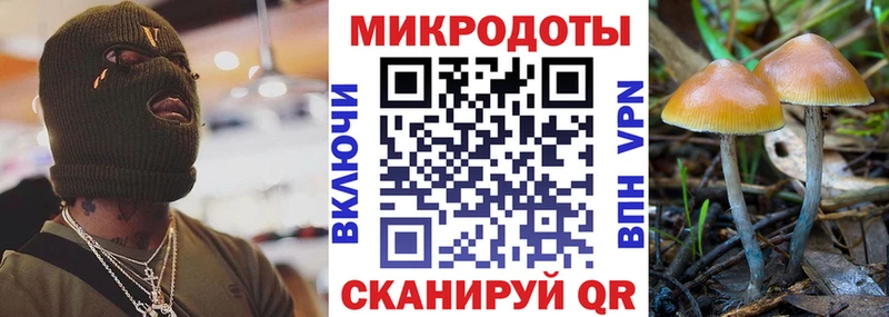 хочу наркоту  Орлов  блэк спрут   Галлюциногенные грибы MAGIC MUSHROOMS 